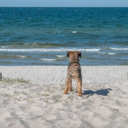Σπίτι διακοπών Kranich Pruchten